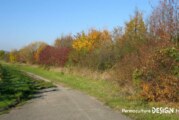 Obligation d’entretien des haies en bordure de voies